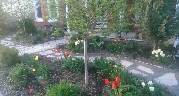 A quant stepping stone path crosses through a cute front garden as it wraps around the front of this century home.