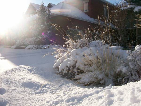 This lively garden bed in the summer, takes on a new look in the winter.