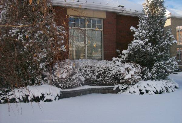 A well designed garden can look good in winter too. Balance is one of the most important aspects of landscape design.