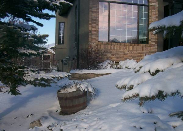 A simple barrel that holds colourful plants in the summer, becomes the feature through the winter months. 